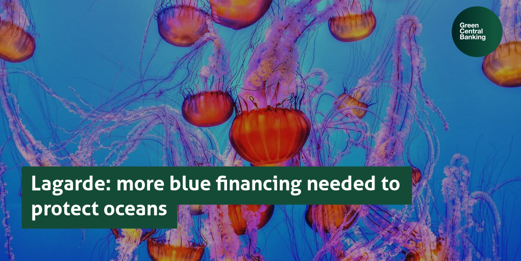 Lagarde: more blue financing needed to protect oceans