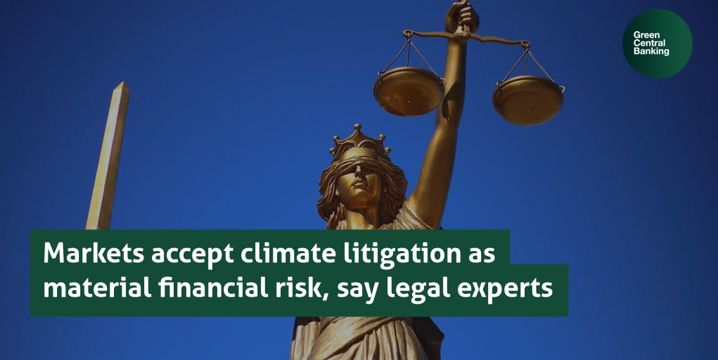 Markets accept climate litigation as material financial risk, say legal experts